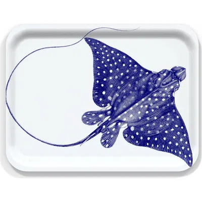 Caskata Birchwood Trays-wood & Melamine In Blue