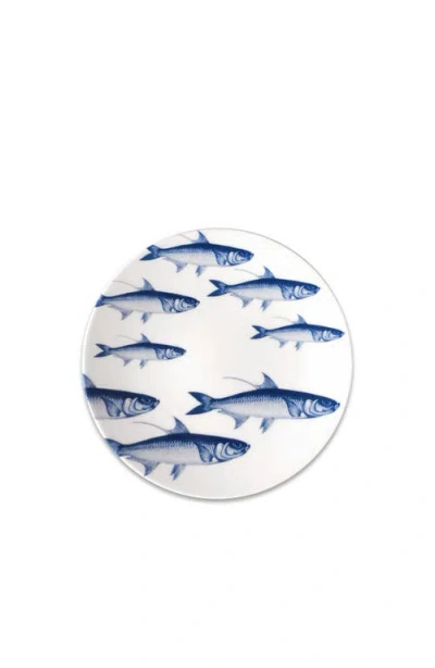 CASKATA CASKATA SCHOOL OF FISH BLUE COUPE SALAD PLATE