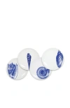 Caskata Shells Blue Canapes Plates, Set Of 4 In Blue