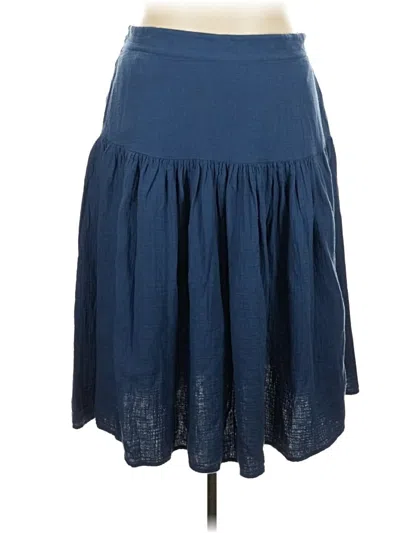 Pre-owned Caslon Casual Skirt In Blue