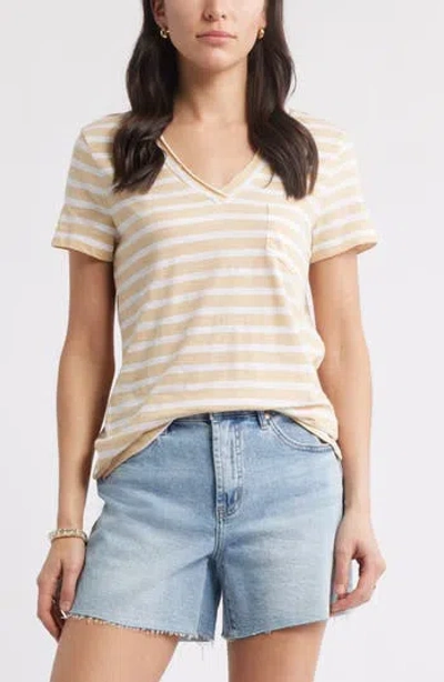 Caslon ® Cotton & Modal V-neck T-shirt