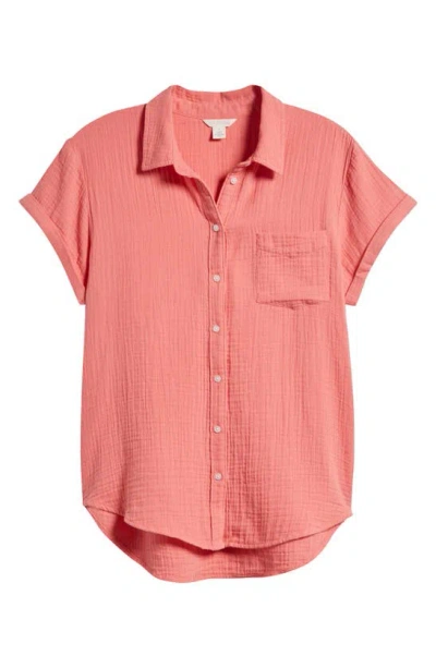 Caslon Cotton Gauze Camp Shirt In Coral Rose Tea