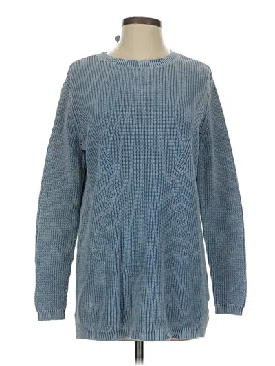 Pre-owned Caslon Pullover Sweater In Blue