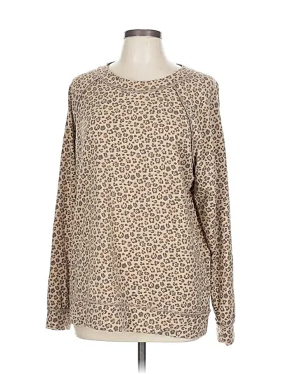 Pre-owned Caslon Pullover Sweater In Brown