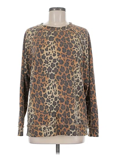 Pre-owned Caslon Pullover Sweater In Brown