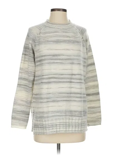 Pre-owned Caslon Pullover Sweater In Silver