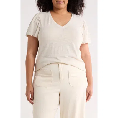 Caslon ® Scallop Trim T-shirt In Brown