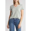Caslon ® Stretch Cotton Blend V-neck T-shirt In Green Dune- White Charm Stripe