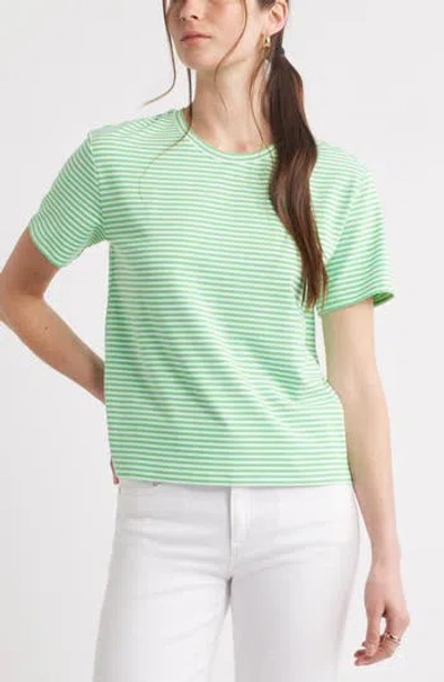 Caslon ® Stripe Crop T-shirt In Multi