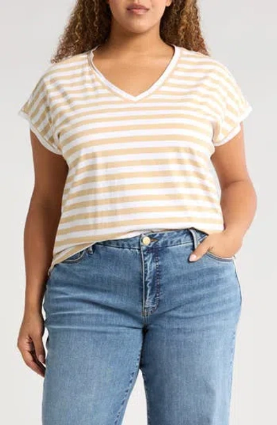 Caslon ® Stripe V-neck Cotton T-shirt In Tan Shore- White Charm Stripe