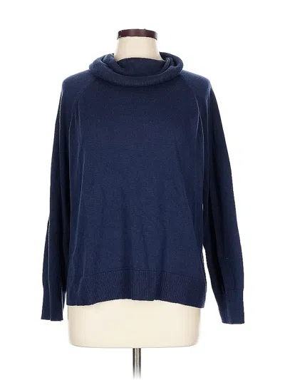 Pre-owned Caslon Turtleneck Sweater In Blue