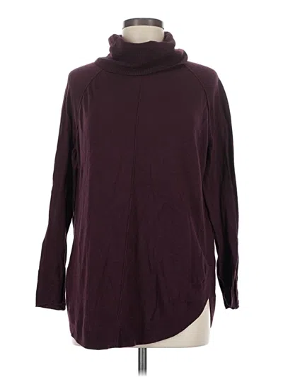 Pre-owned Caslon Turtleneck Sweater In Burgundy