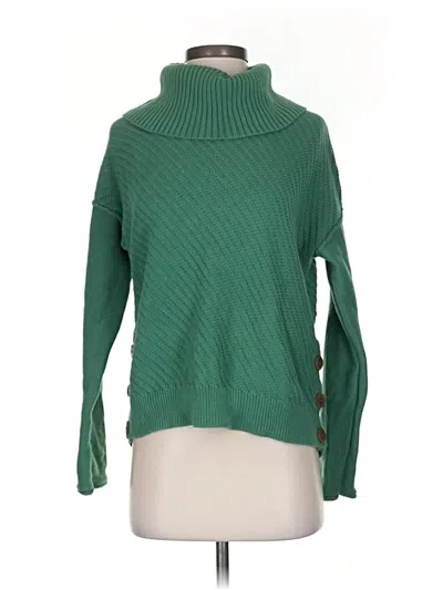 Pre-owned Caslon Turtleneck Sweater In Green