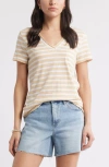 Caslonr Caslon(r) Cotton & Modal V-neck T-shirt