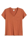 Caslonr Caslon(r) Cotton & Modal V-neck T-shirt In Brown