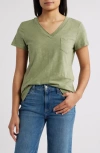 Caslonr Caslon(r) Cotton & Modal V-neck T-shirt In Olive Acorn