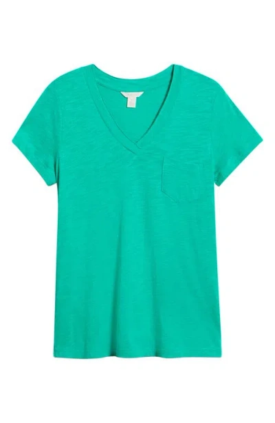Caslonr Caslon(r) Cotton & Modal V-neck T-shirt In Green
