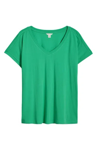 Caslonr Caslon(r) Dolman Sleeve V-neck T-shirt In Green