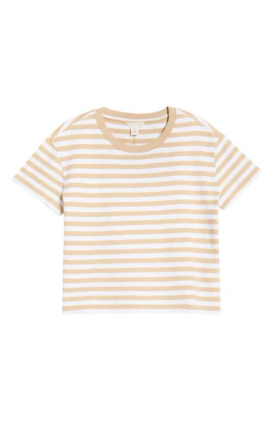 Caslonr Caslon(r) Drop Shoulder Short Sleeve Stripe Cotton Tee In Brown