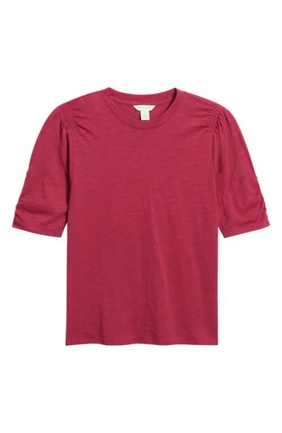 Caslonr Caslon(r) Puff Sleeve Cotton Blend T-shirt In Pink