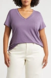 Caslonr Caslon(r) Short Sleeve V-neck T-shirt In Purple Montana