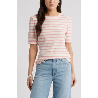 Caslonr Caslon(r) Stripe Elbow Sleeve Cotton Knit Top In Multi