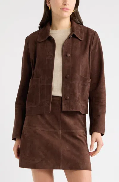 Caslonr Caslon(r) Suede Leather Jacket In Brown Chicory