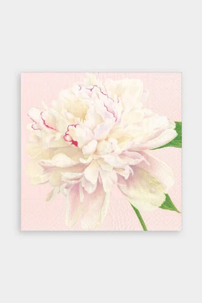 Caspari Duchess Peonies Paper Luncheon Napkins In Blush In Black