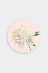 Caspari Duchess Peonies Paper Salad & Dessert Plates In Blush