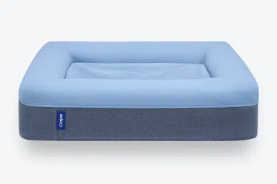 Casper The Dog Bed In Blue