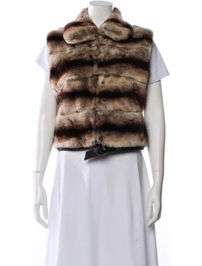 Pre-owned Cassin Chinchilla Striped Fur Jacket In Multi