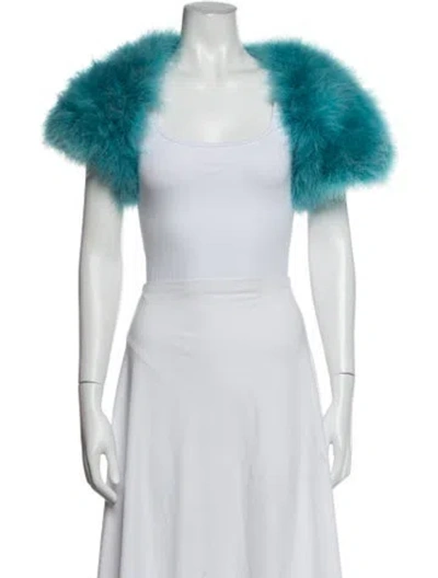 Pre-owned Cassin Fur Jacket In Blue