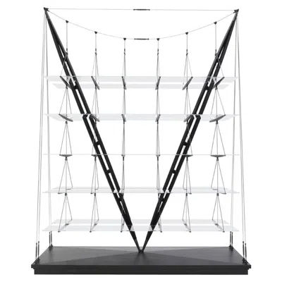 Pre-owned Cassina Franco Albini Veleiro Bookcase, Black Stained Wood By