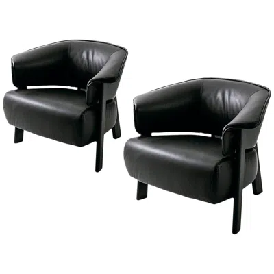 Pre-owned Cassina Set Of Two ''back-wing Armchair' By Patricia Urquiola In Brown