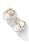 CAST CAST THE DARING SOUTH SEA CULTURED PEARL DROP EARRINGS