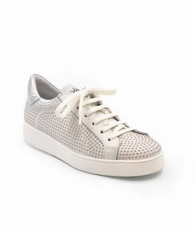 Casta Women's Alec X Sneaker In White In Beige