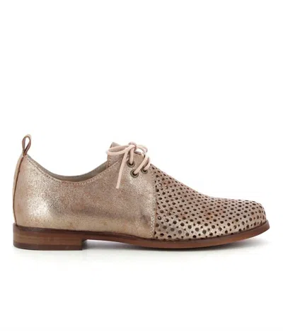 Casta Women's Filmm Shoes In Bronze In Brown