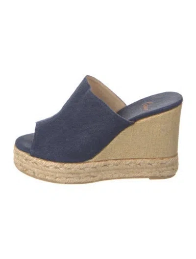 Pre-owned Castaã±er Canvas Espadrilles In Blue
