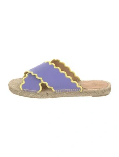 Pre-owned Castaã±er Canvas Espadrilles In Purple