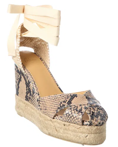 Castañer Chabeli Snake-embossed Leather Wedge Sandal In Multi