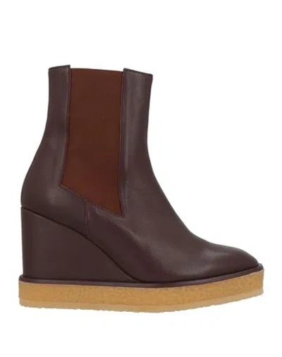 Castaã±er Castañer Woman Ankle Boots Chocolate Brown Size 8 Leather