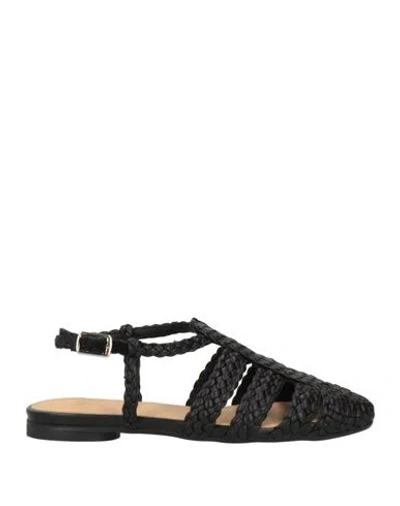 Castaã±er Castañer Woman Ballet Flats Black Size 6.5 Leather