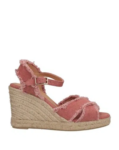 Castaã±er Castañer Woman Espadrilles Antique Rose Size 10 Textile Fibers In Pink