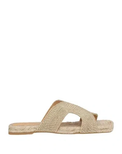 Castaã±er Castañer Woman Espadrilles Beige Size 7.5 Textile Fibers In Neutral