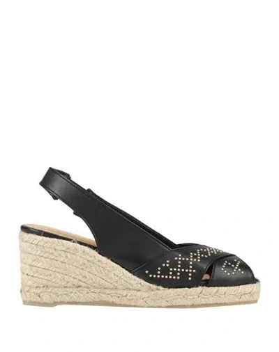 Castaã±er Castañer Woman Espadrilles Black Size 6 Leather In Multi