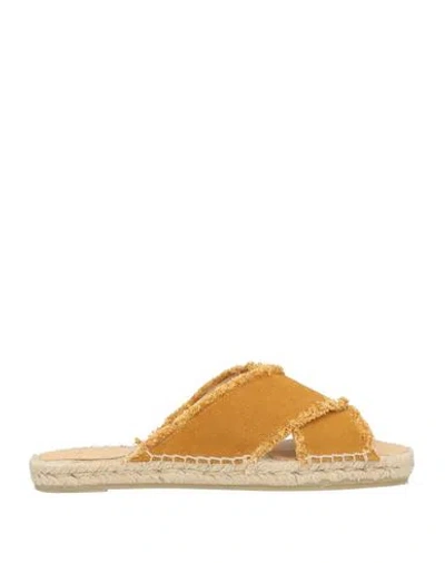 Castaã±er Castañer Woman Espadrilles Brown Size 6.5 Textile Fibers