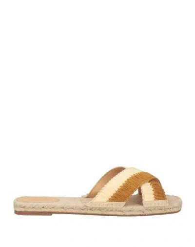 Castaã±er Castañer Woman Espadrilles Brown Size 7.5 Synthetisches Material