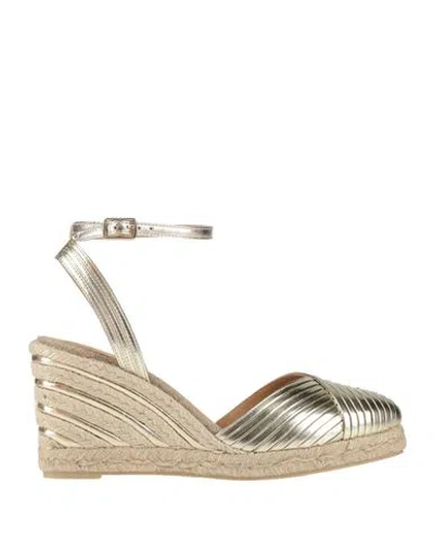 Castaã±er Castañer Woman Espadrilles Gold Size 7.5 Leather In Multi