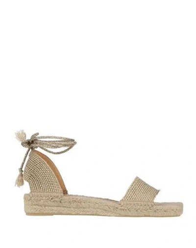 Castaã±er Castañer Woman Espadrilles Gold Size 7.5 Textile Fibers In Gray