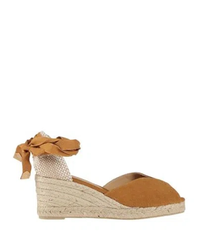 Castaã±er Castañer Woman Espadrilles Mustard Size 7.5 Textile Fibers In Brown